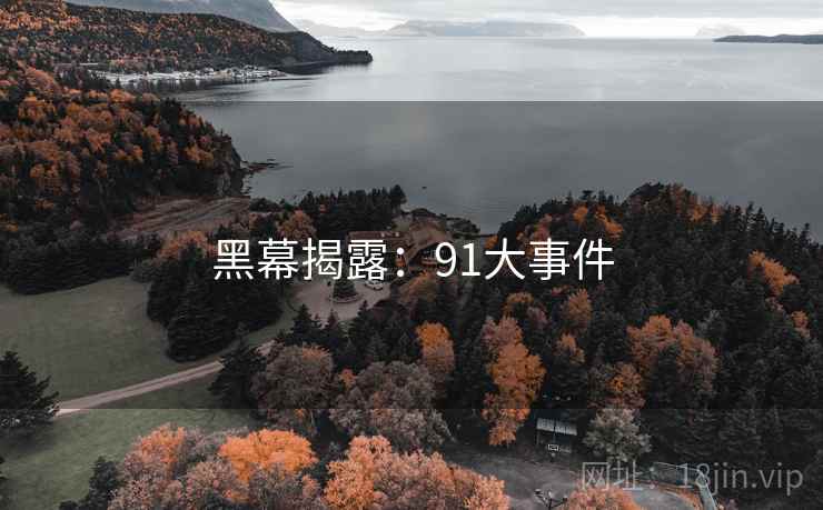 黑幕揭露：91大事件