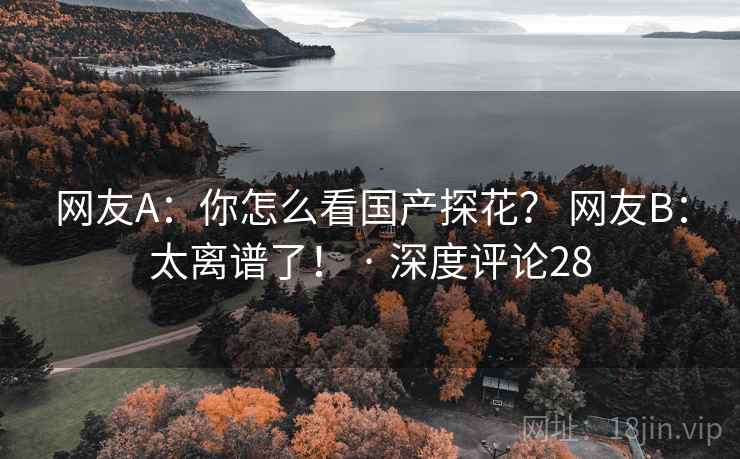 网友A：你怎么看国产探花？ 网友B：太离谱了！ · 深度评论28