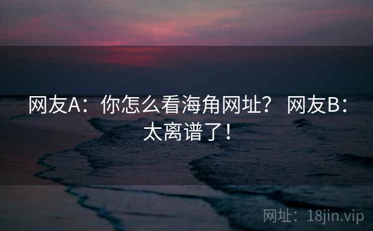 网友A：你怎么看海角网址？ 网友B：太离谱了！