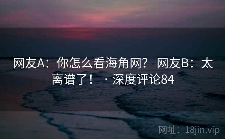 网友A：你怎么看海角网？ 网友B：太离谱了！ · 深度评论84